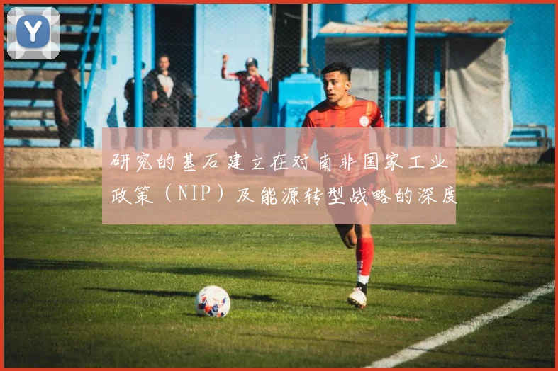 研究的基石建立在对南非国家工业政策(NIP)及能源转型战略的深度解构之上