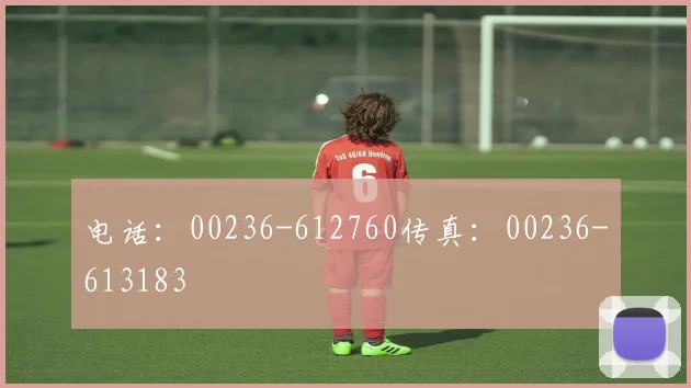 电话:00236-612760传真:00236-613183