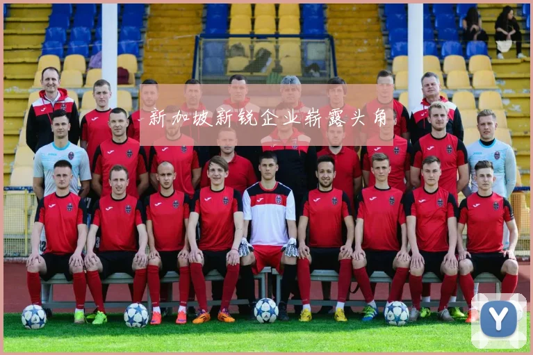新加坡新锐企业崭露头角