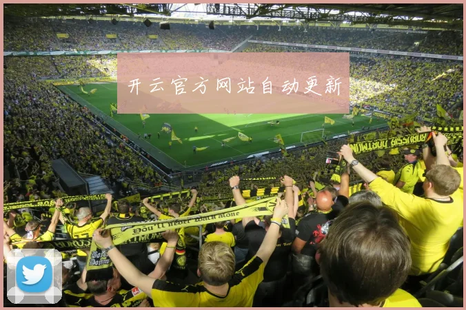开云官方网站自动更新