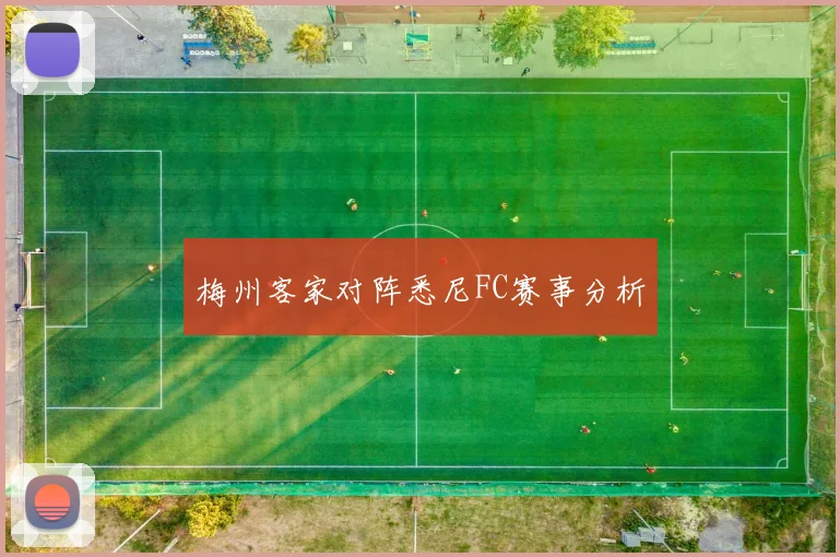 梅州客家对阵悉尼FC赛事分析