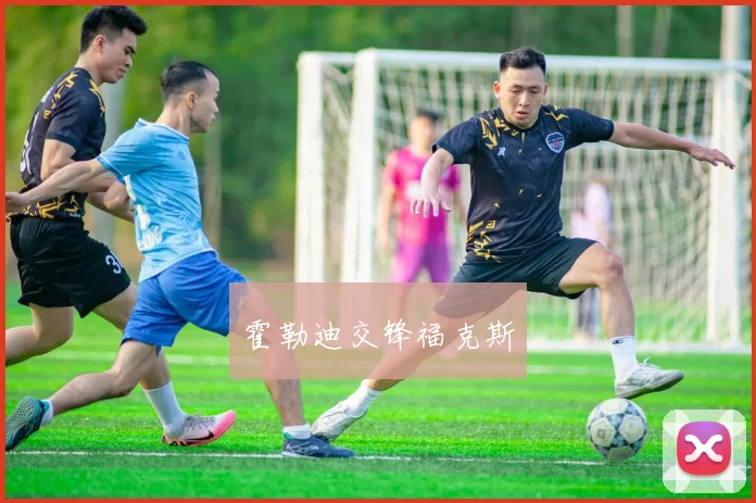霍勒迪交锋福克斯