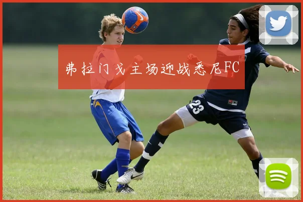 弗拉门戈主场迎战悉尼FC