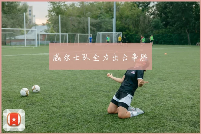威尔士队全力出击争胜
