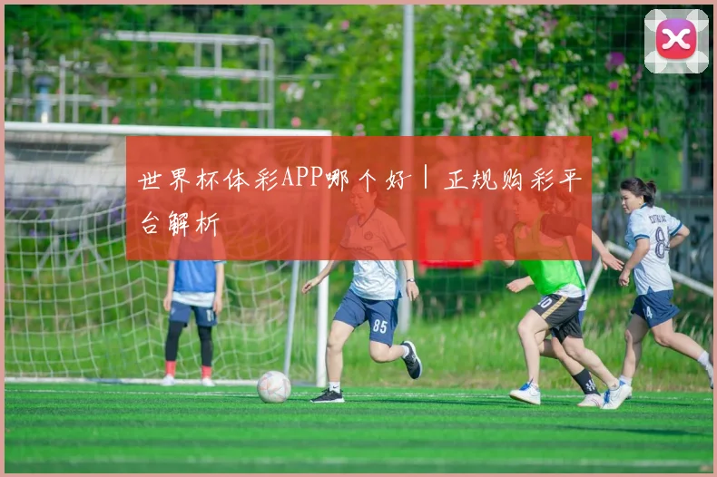 世界杯体彩APP哪个好|正规购彩平台解析