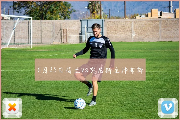 6月25日荷兰vs突尼斯主帅布阵