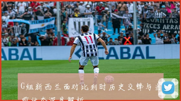 G组新西兰面对比利时历史交锋与当前状态深度解析
