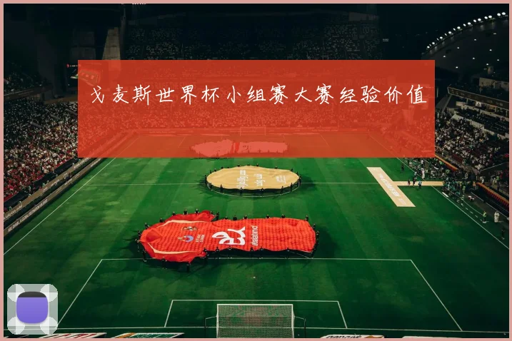 戈麦斯世界杯小组赛大赛经验价值