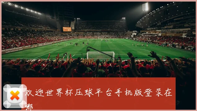欢迎世界杯压球平台手机版登录在哪
