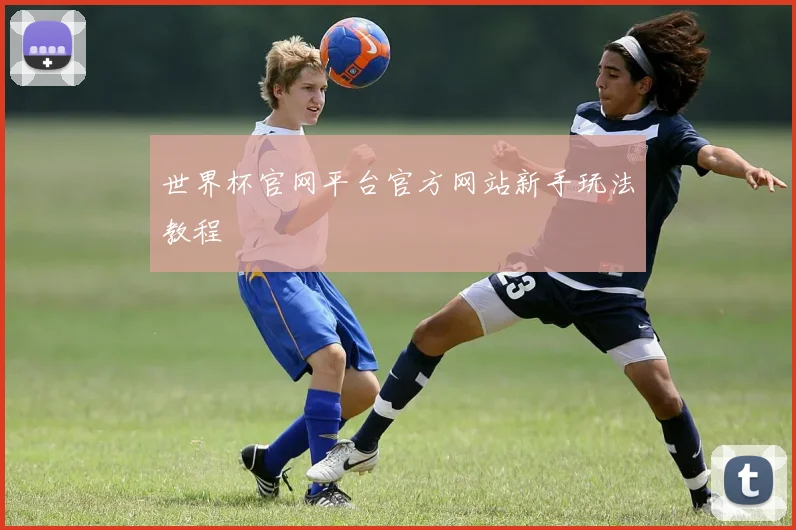 世界杯官网平台官方网站新手玩法教程
